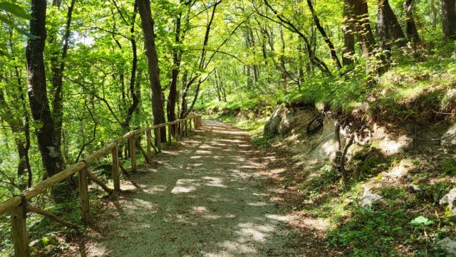 wir befinden uns nun im geschützten Wald "Selva d'Ecio"
