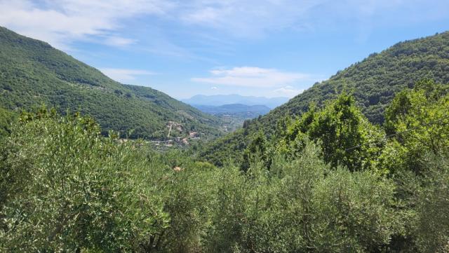 inmitten der uralten Wälder erkennen wir Santa Maria Amaseno