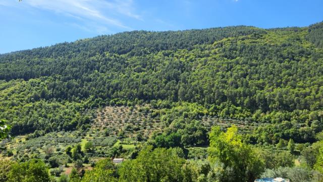alles am Berghang des Monte Tesoro und Puntone Mugliera entlang, geht es Richtung Santa Maria Amaseno