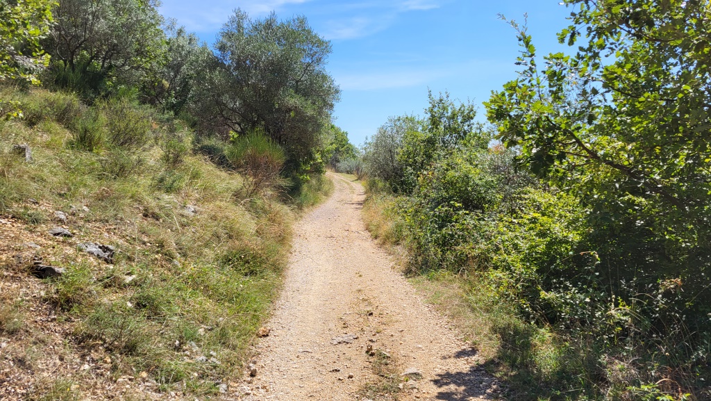 über einen sehr schönen Wanderweg treten wir aus dem dichten Wald heraus