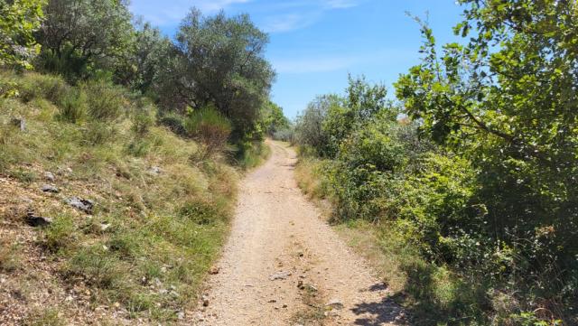 über einen sehr schönen Wanderweg treten wir aus dem dichten Wald heraus