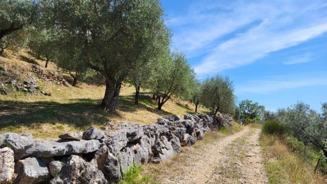 der Cammino di San Benedetto ist wunderschön – ein Weg voller Ruhe, Geschichte und eindrucksvoller Landschaften