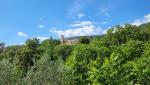 wir lassen Santa Maria Amaseno hinter uns und wandern weiter Richtung Tagesziel Casamari