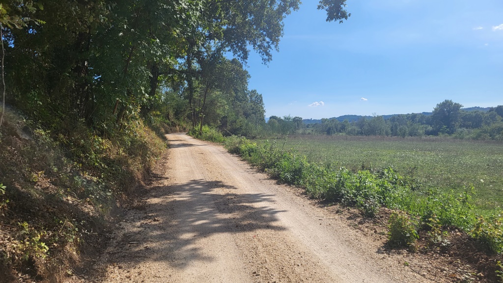 wir biegen in einen Feldweg hinein. Unser Ziel, Montecassino, ist nun nicht mehr weit entfernt;...