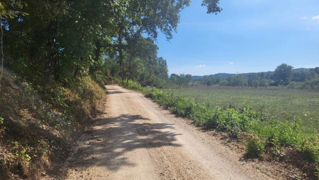 wir biegen in einen Feldweg hinein. Unser Ziel, Montecassino, ist nun nicht mehr weit entfernt;...