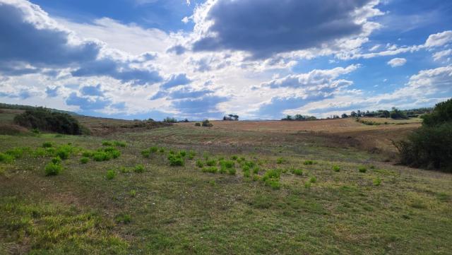 die heutige Etappe ist eine geruhsame, die grösstenteils eben verläuft