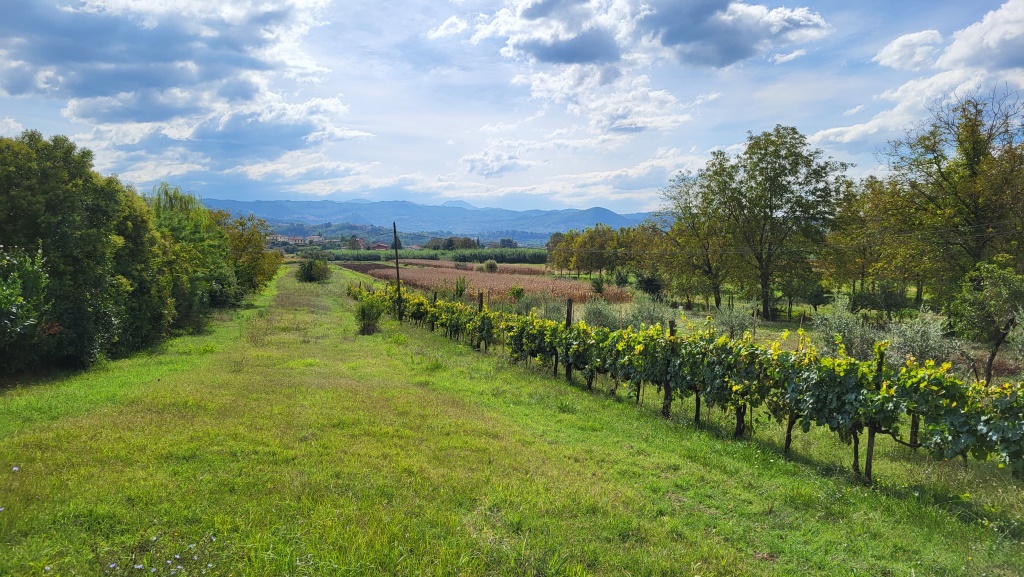 vor uns taucht das am Fluss Liri gelegene Dorf Isola del Liri auf