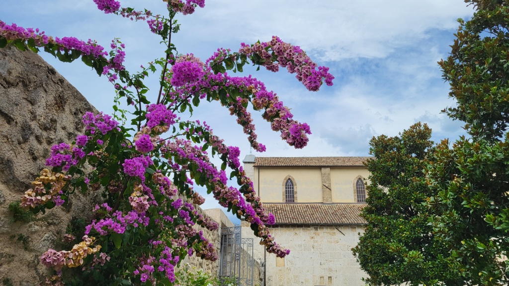 über den Klostergarten mit seinen Kreppmyrten (haben wir auch in unserem Garten), verlassen wir die Abtei