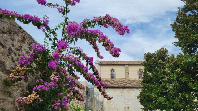 über den Klostergarten mit seinen Kreppmyrten (haben wir auch in unserem Garten), verlassen wir die Abtei