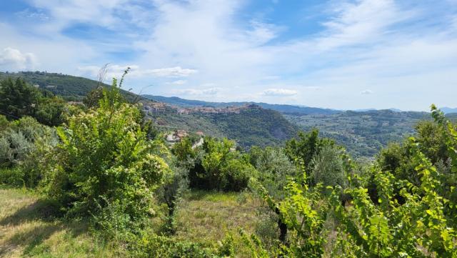 ...und auf das vor uns, auf den Rücken von zwei Hügeln im oberen Liri-Tal, gelegene Arpino