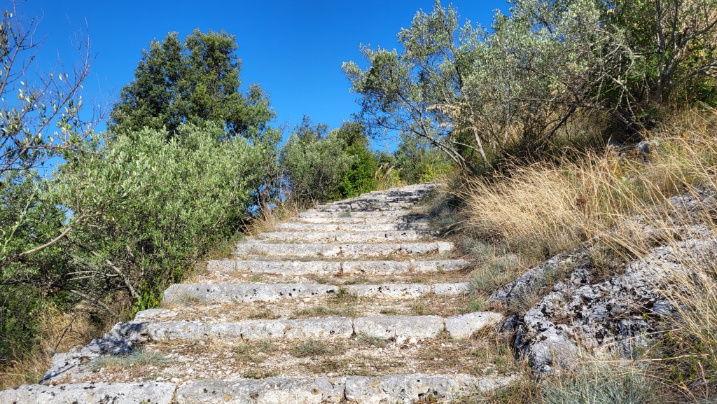 eine steile Treppe windet sich durch die Olivenbäume – und wir steigen stetig hinauf