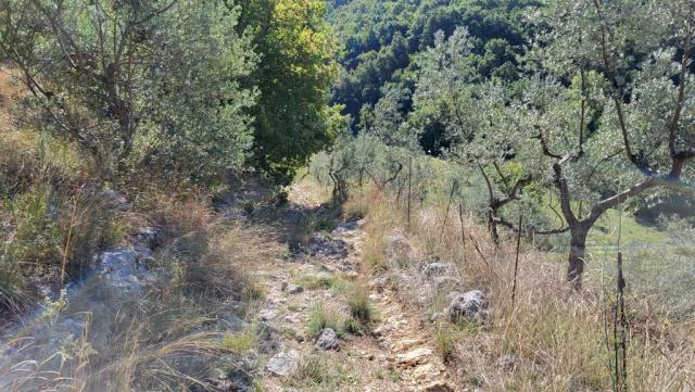 ein schmaler, steiniger rutschiger Pfad führt uns von Civitavecchia nun abwärts