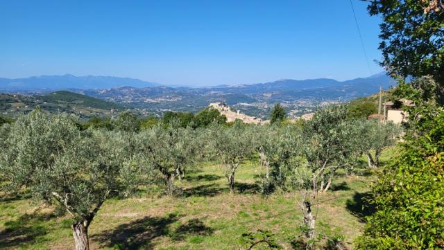 wir blicken das auf einem Bergsattel liegende Arpino zurück...