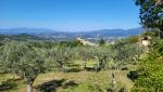 wir blicken das auf einem Bergsattel liegende Arpino zurück...