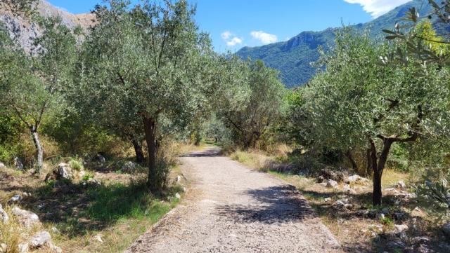 auch die heutige Etappe auf dem Camino di San Benedetto ist von beeindruckender Schönheit