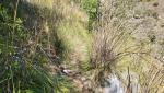 nun sind gute Wanderschuhe und Stöcke von Vorteil. Bei hohem Gras heisst es wie immer, auf Schlangen zu achten