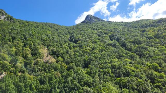 ...und eine wilde, fast unberührte Landschaft geschaffen