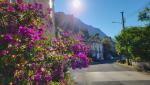 immer wieder beeindruckend, diese prächtigen Bougainvillea am Wegesrand