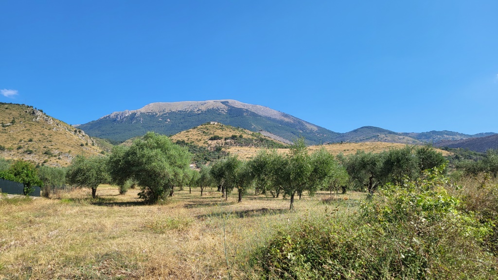 über die wellige Landschaft hinweg zeichnet sich der Monte Cairo klar am Horizont ab