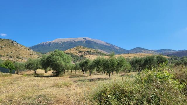 über die wellige Landschaft hinweg zeichnet sich der Monte Cairo klar am Horizont ab