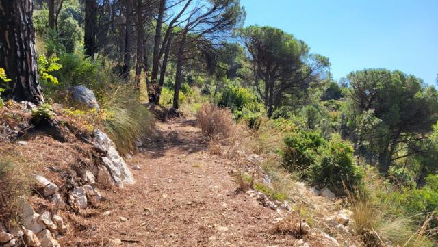 auch diese Etappe bestätigt es erneut: Der Cammino di San Benedetto ist von beeindruckender Schönheit