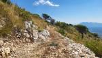 wir können uns nicht sattsehen so schön ist hier oben die Natur. Hier oben starben zentausende von Soldaten