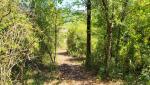 wir tauchen im Wald hinein. Wege dürfen nicht verlassen werden. Zu gefährlich wegen überbleibsel aus dem Krieg
