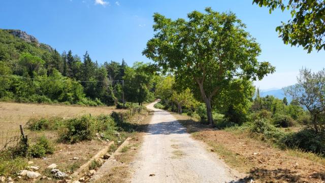 ...und wandern weiter in Richtung Montecassino