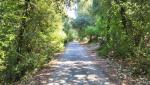 der Weg schmiegt sich an den Kalvarienberg. Montecassino liegt vor uns, unsichtbar, aber nah