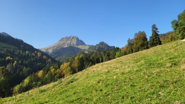 den mächtigen Moléson vor Augen und das...