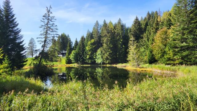 ...und nehmen danach den kleinen Umweg zum schön gelegenen Lac des Joncs