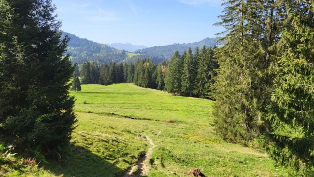 wir lassen das natürliche Kleinod in einem Naturschutzgebiet hinter uns, und wandern über Alpweiden weiter