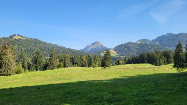 wir blicken zurück und erkennen noch ein letztes Mal den Teysachaux. Super Bergtour