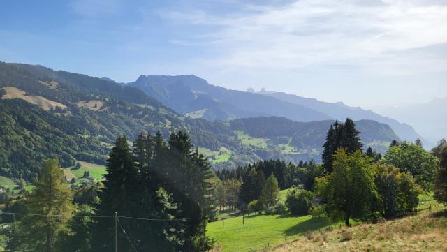 wir verlassen das Hochmoor. Am Horizont erkennt man Rochers de Naye und Dent de Jaman. Beide schon bestiegen