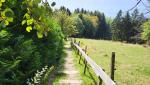 der schöne Wanderweg führt uns abwärts nach Blonay