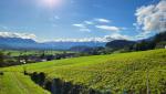 der aussichtsreiche Wanderweg führt uns oberhalb von  Hinterforst weiter Richtung Eichberg