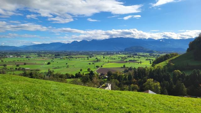 heute wandern wir nicht nur auf der Via Francisca sondern, auch auf dem Rheintaler Höhenweg