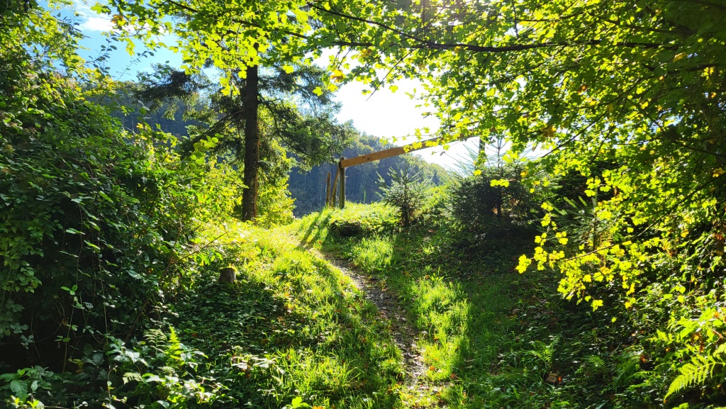 durch Wälder und Wiesen geht es Richtung Eichberg