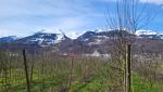 mit Blick auf die verschneiten Berge rund um Buchs, verlassen wir den Dorfkern...