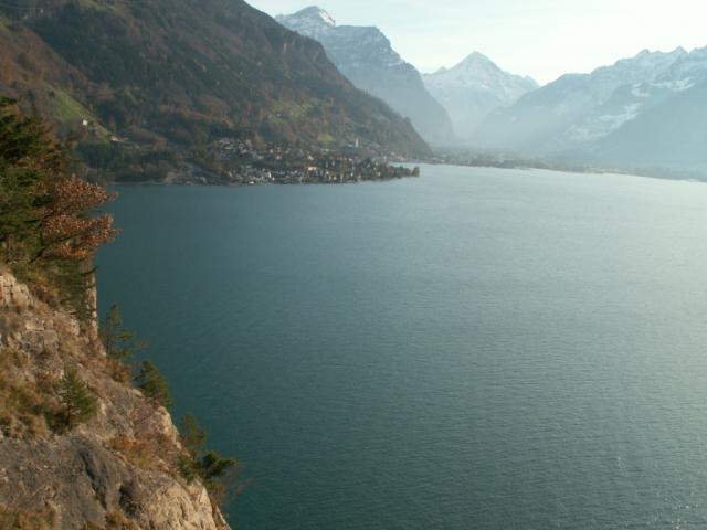 der Urnersee