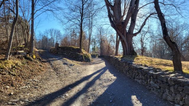 der sehr schöne Höhenweg...