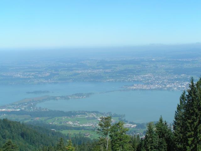 Aussicht auf den Zürichsee Damm und Obersee