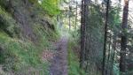 am kleinen Weiler Carrera vorbei, führt uns die Via Francisca in den Wald hinein