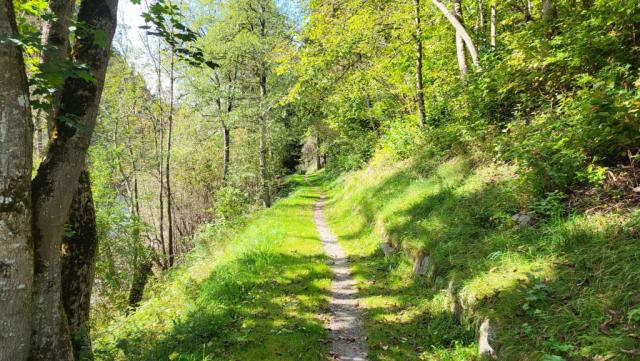 der Wanderweg steigt nun merklich aufwärts