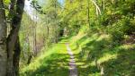 der Wanderweg steigt nun merklich aufwärts