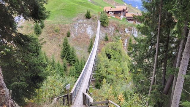 wir blicken zur Hängebrücke zurück