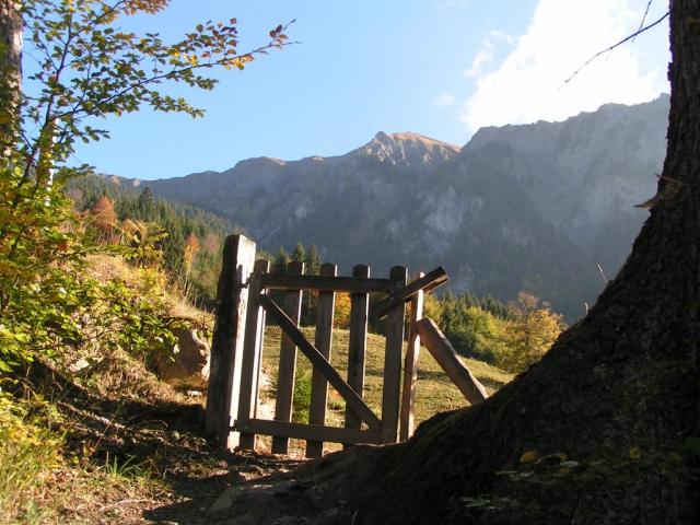 so ein schöner Tag um zu wandern