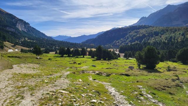 auch auf der Alpe Pertusio...