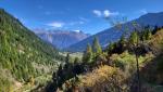 was für eine wunderschöne Aussicht. Blick ins Valle Santa Maria und zum Rheinwaldhorn