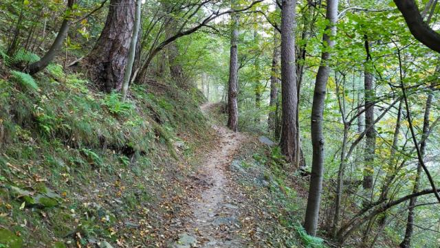 wir biegen in den Sentiero storico (Historischer Weg) hinein